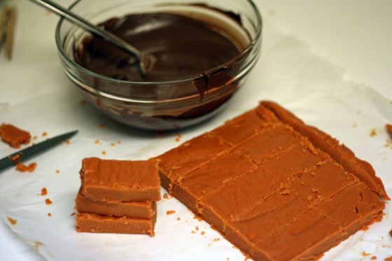 Butterfinger-clone-2