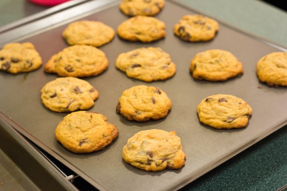 Chocolate-Chip-Pudding-Cookies